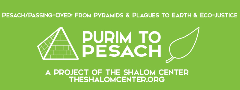 Purim to Passover The Shalom Center